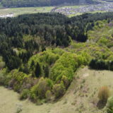 Cercetările arheologice de la Suciu de Sus, punctul Vârcioroabe și Curtuiușu Mare, punctul Dealul Curmăturii