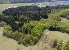 Cercetările arheologice de la Suciu de Sus, punctul Vârcioroabe și Curtuiușu Mare, punctul Dealul Curmăturii