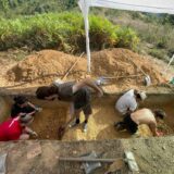 Noi descoperiri arheologice la Sălnița, comuna Vima Mică