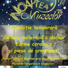 Cultura materială a dacilor