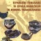 Ritualuri funerare în Epoca Bronzului în nordul Transilvaniei