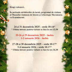 Programul de vizitare în perioada sărbătorilor de iarnă 2025